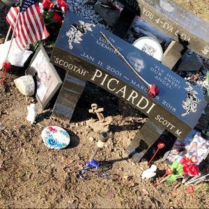 Meet your Posher, Jackson